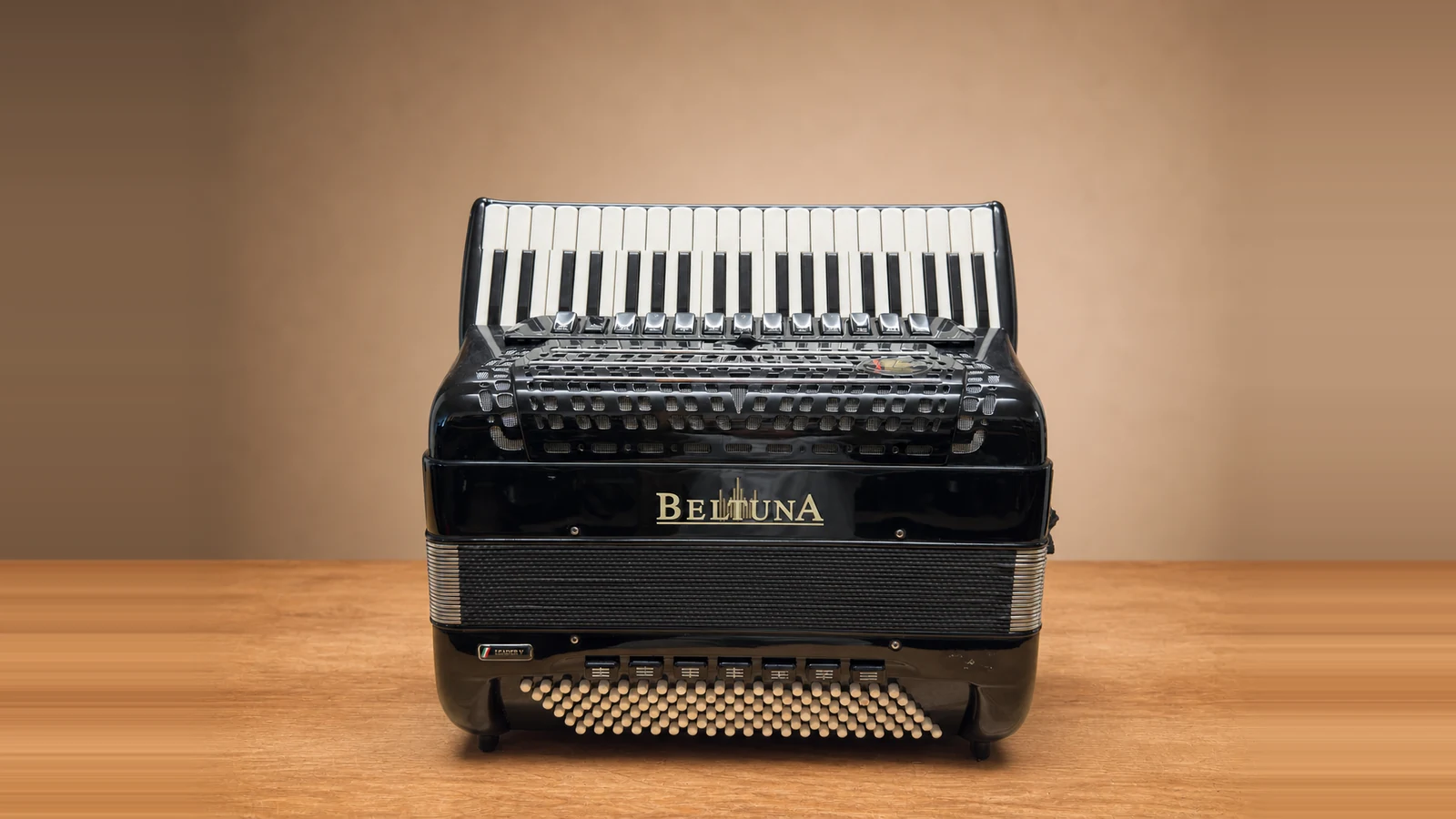Gebrauchtes schwarzes Beltuna Leader V Compact Cassotto-Akkordeon mit Amplisound, 41 Tasten und 120 Bass